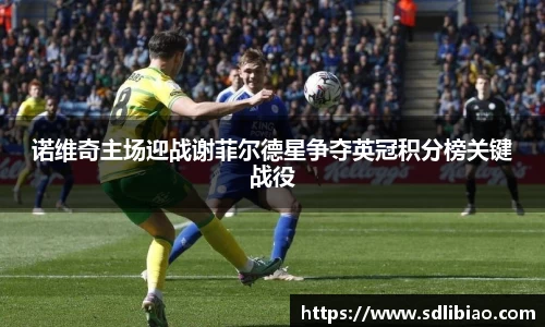 诺维奇主场迎战谢菲尔德星争夺英冠积分榜关键战役