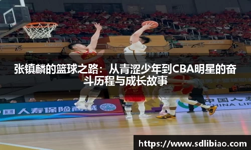 张镇麟的篮球之路：从青涩少年到CBA明星的奋斗历程与成长故事