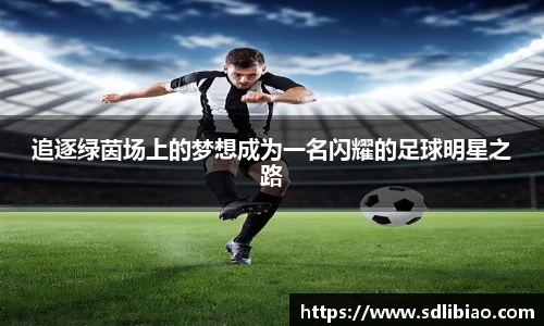 追逐绿茵场上的梦想成为一名闪耀的足球明星之路